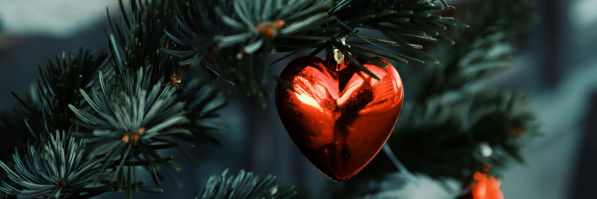 2026 wird neu, tiefer und schöner.