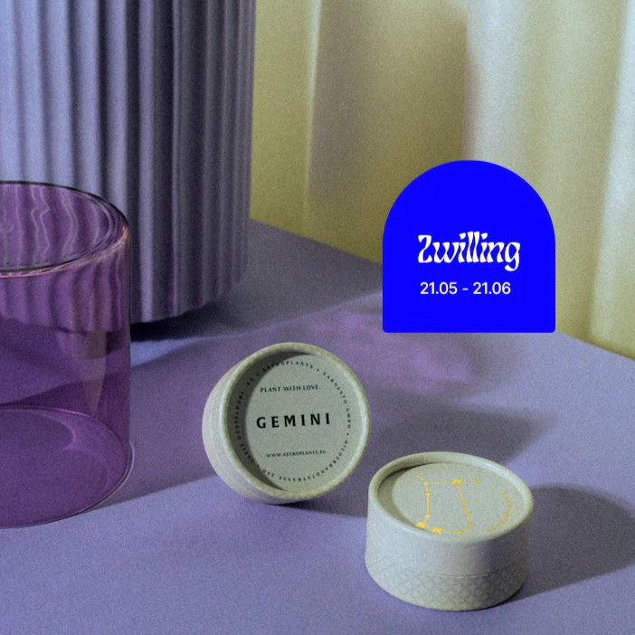 Astroplant - für jedes Sternzeichen