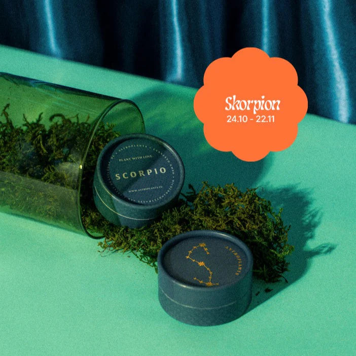 Astroplant - für jedes Sternzeichen