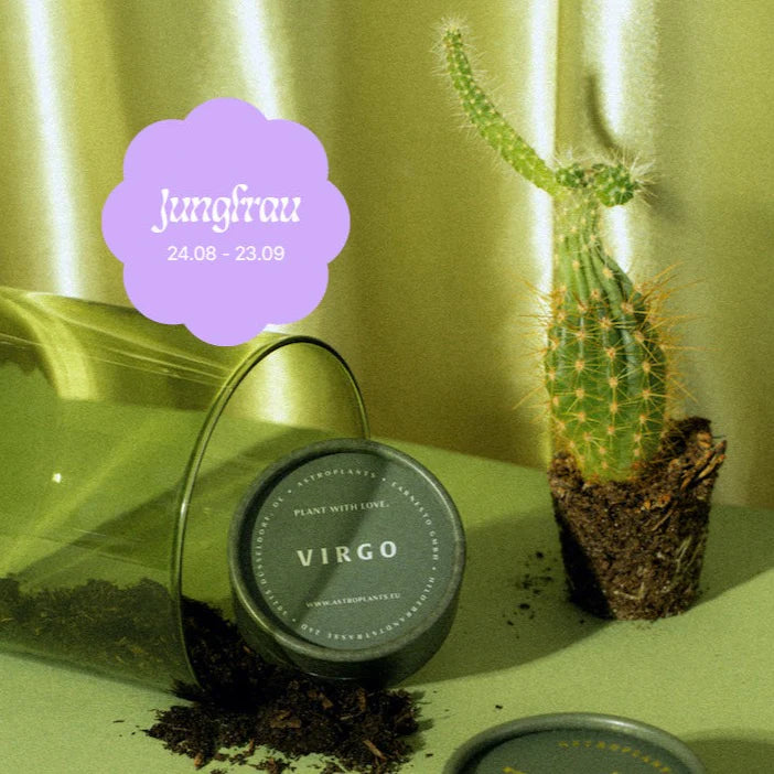 Astroplant - für jedes Sternzeichen