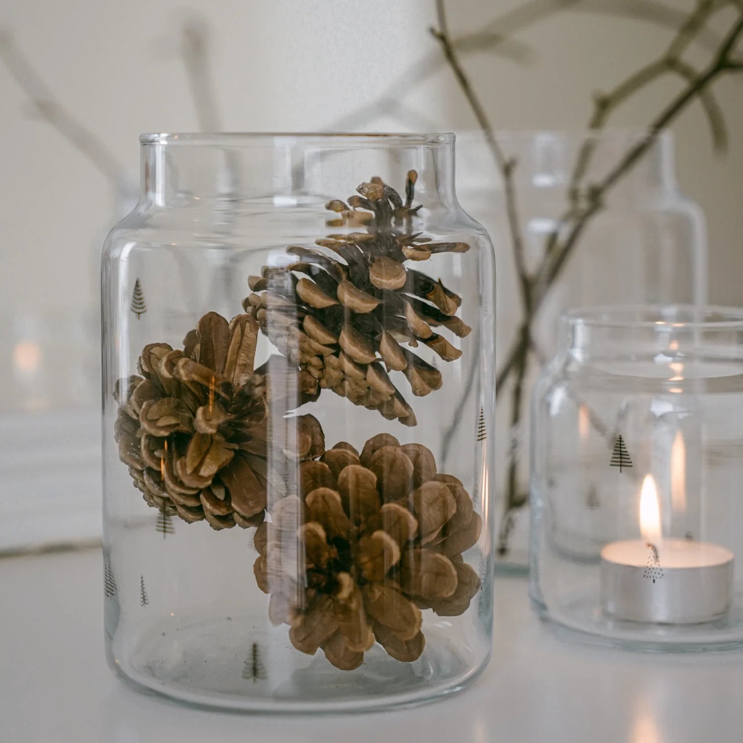 Vase aus Glas, Tanne