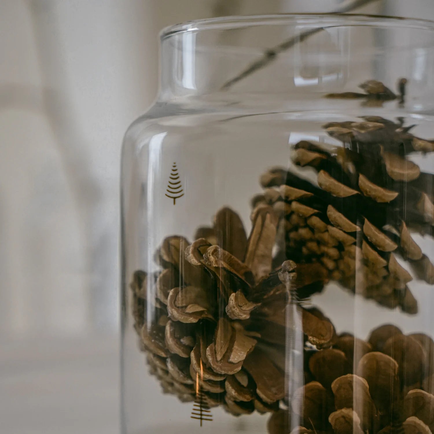 Vase aus Glas, Tanne