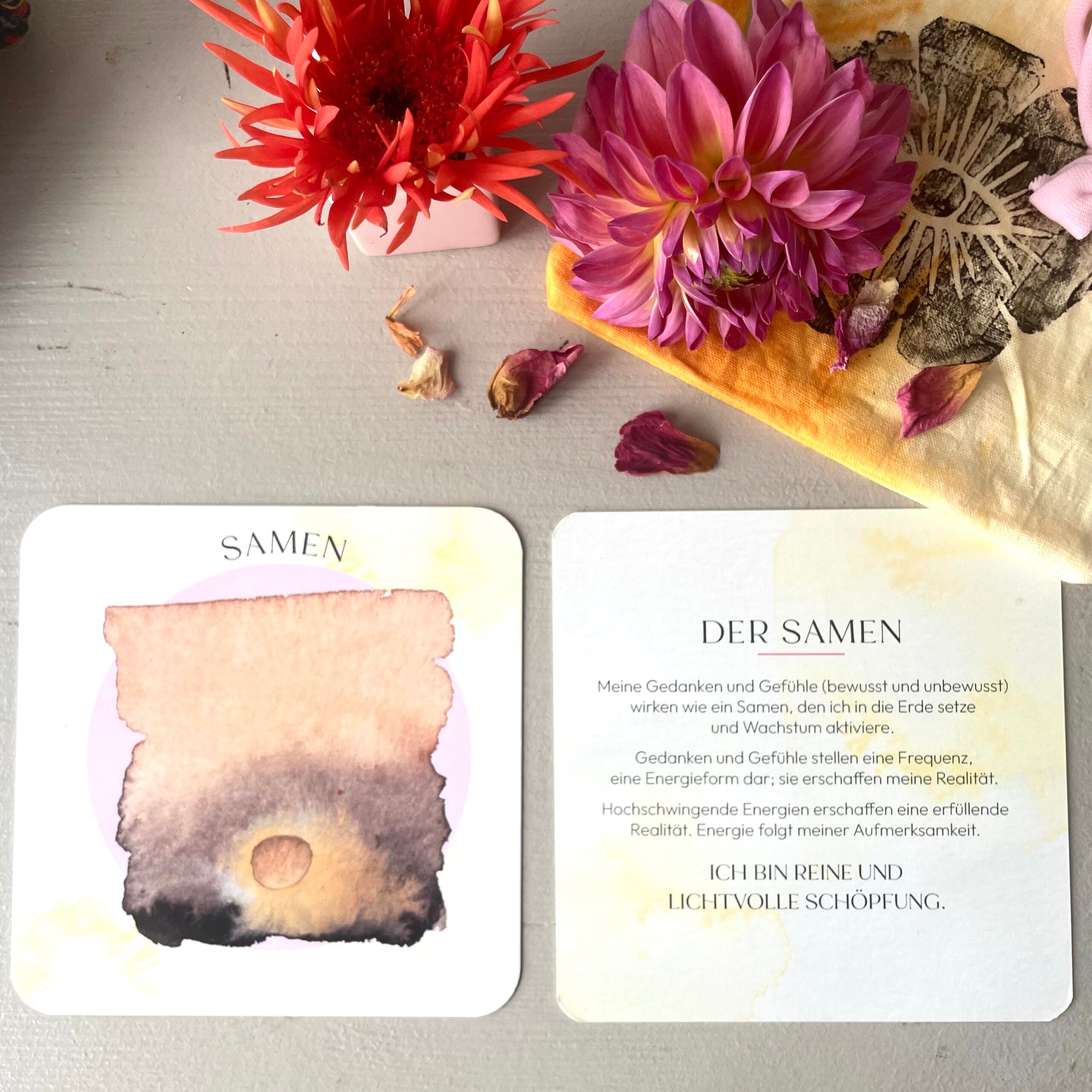 Karten-Set ERBLÜHEN