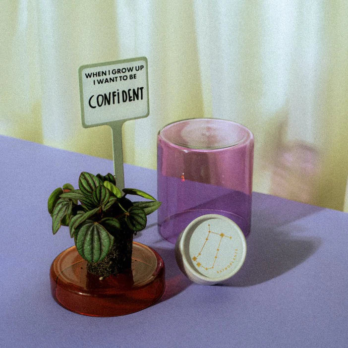 Astroplant  - für jedes Sternzeichen